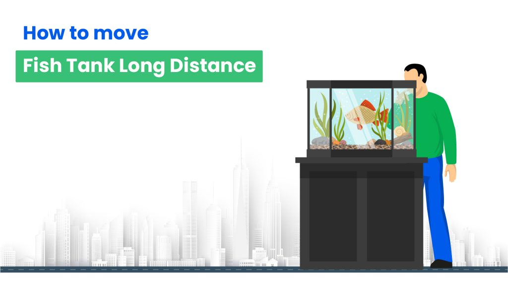 Simplifying Office Moves: Expert Advice for a Smooth Transition